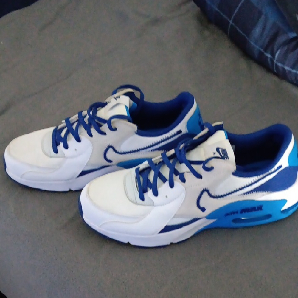 Nike  Air Max Blue and White Sneakers with Air Cushioning